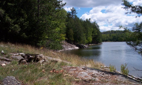 Drag Lake campsite shoreline